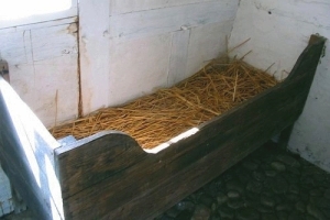 Wooden trough-shaped bed filled with straw